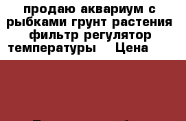 продаю аквариум с рыбками грунт растения фильтр регулятор температуры  › Цена ­ 3 000 - Тюменская обл., Тюмень г. Животные и растения » Аквариумистика   . Тюменская обл.